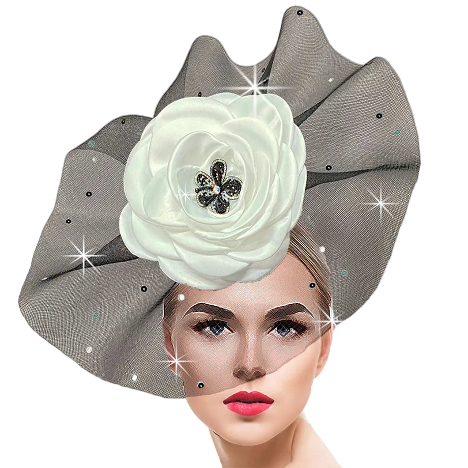2987 COCO FASCINATOR-BWW