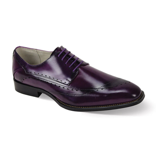 Giovanni TRISTON-PURP Shoes